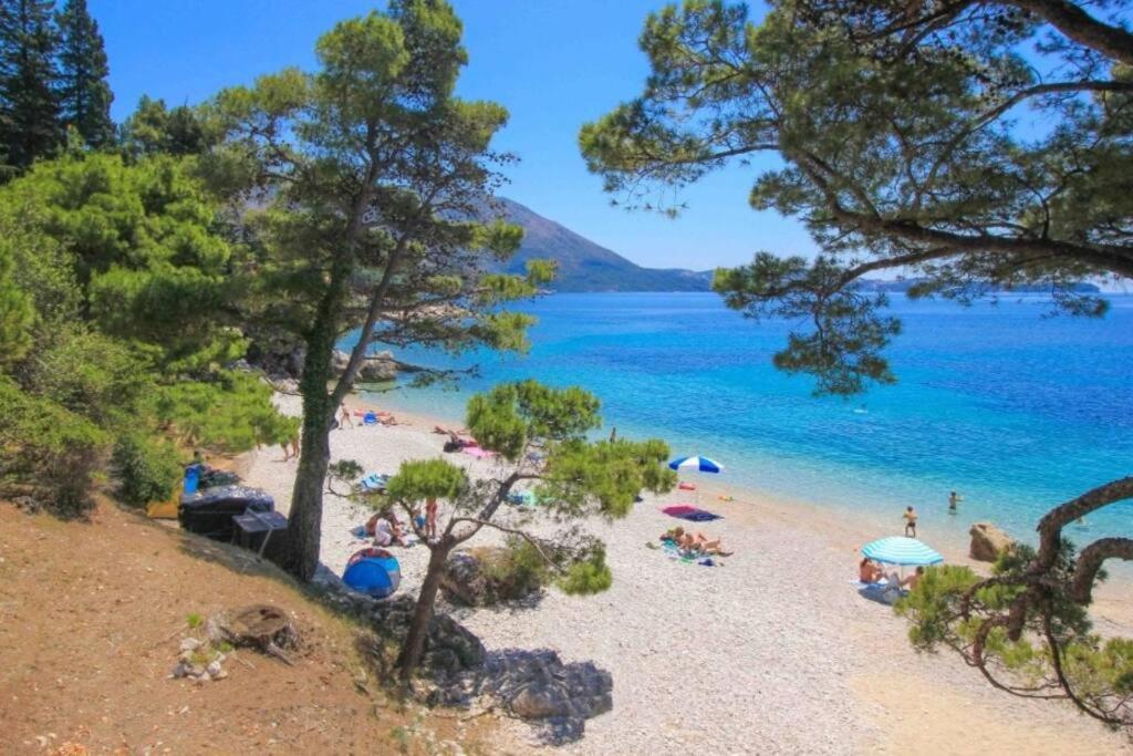 Studio Apartment Sol Mlini Εξωτερικό φωτογραφία